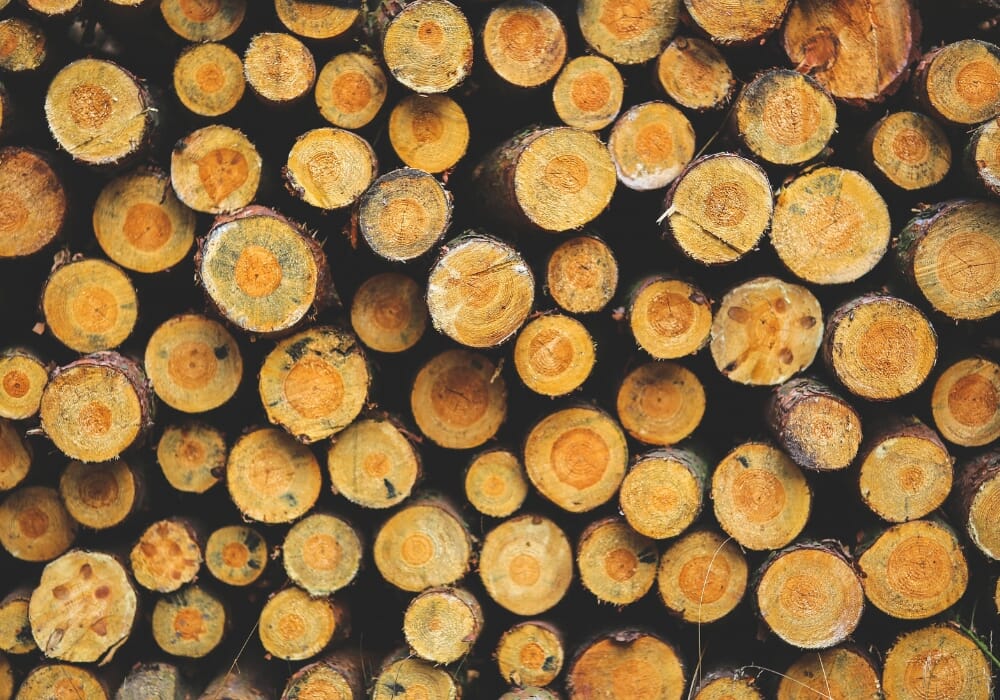 filiera corta del legno 